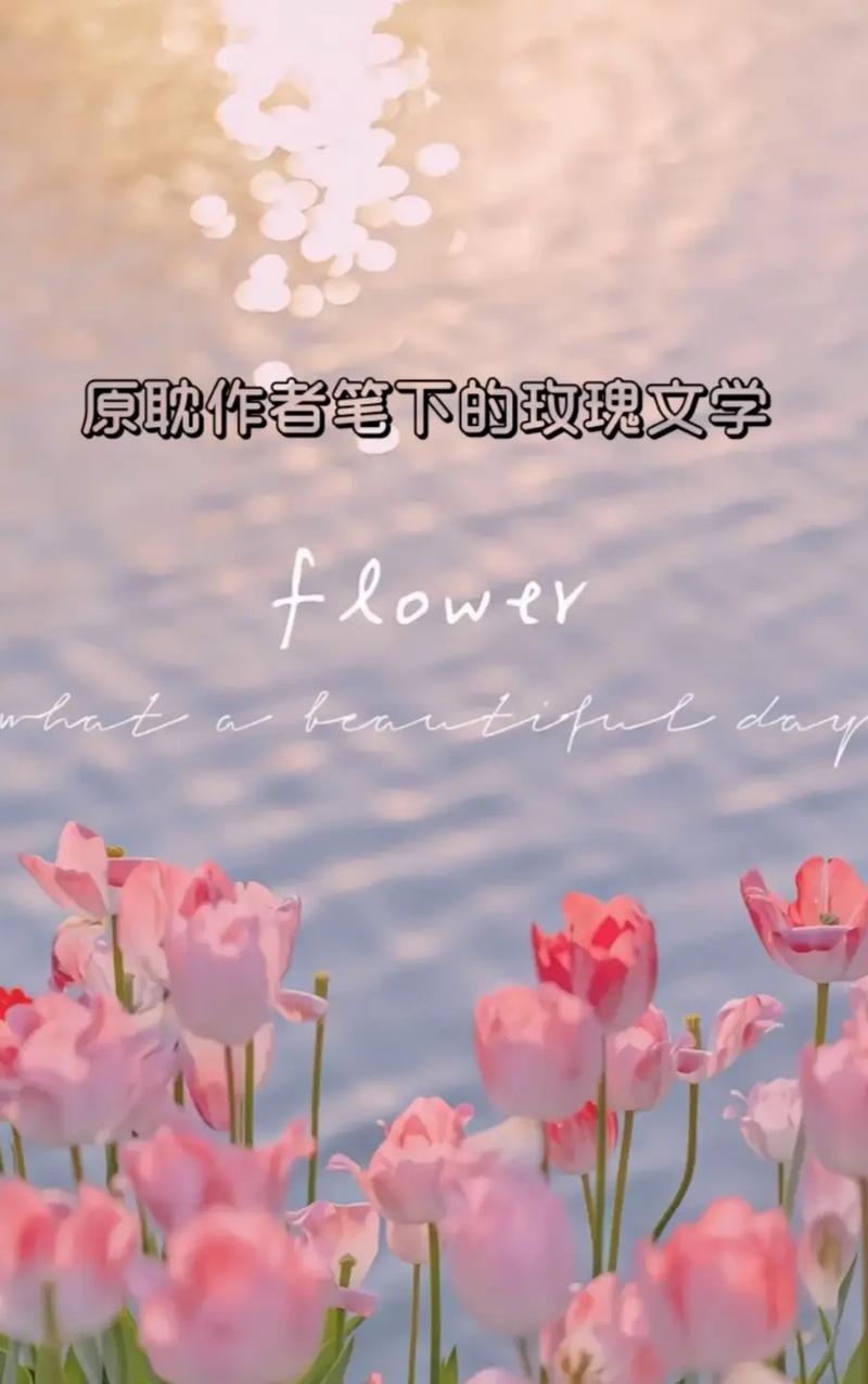 揭秘原耽世界：从定义到迷人魅力-第1张图片-情感驿站