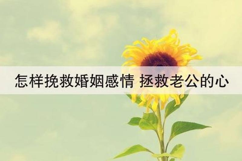 拯救婚姻的办法(挽救婚姻之道：点燃希望，重建爱巢)-第1张图片-情感驿站
