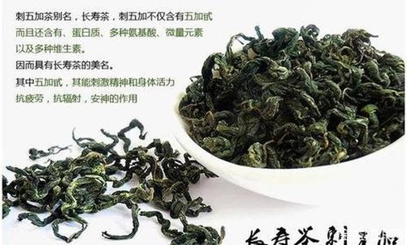 刺五加茶管啥的(揭秘刺五加茶- 性福密码还是虚假宣传？)-第1张图片-情感驿站