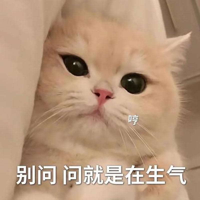 主人我错了能不能关掉开关_C足够否，三根聚首骨骼毁-第1张图片-情感驿站