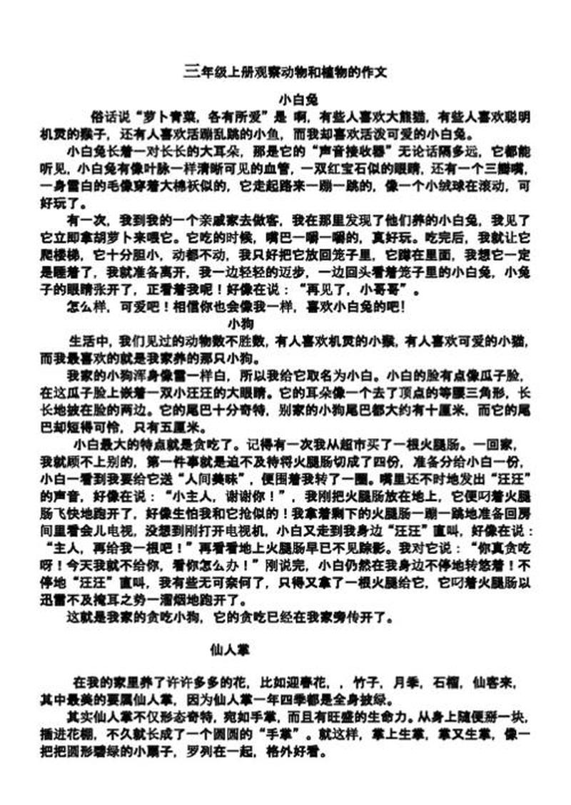 我是小白兔吗？一探究竟-第1张图片-情感驿站