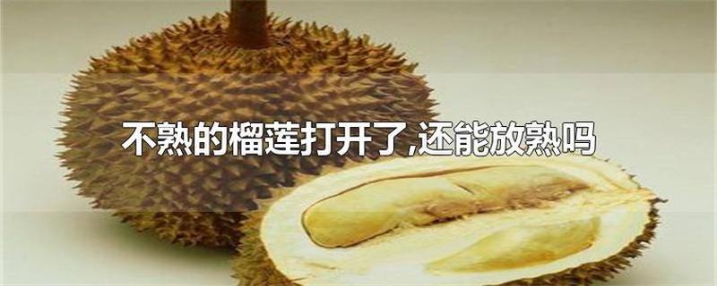 榴莲不熟要怎么放才能熟(榴莲未熟巧妙催熟秘笈)-第1张图片-情感驿站