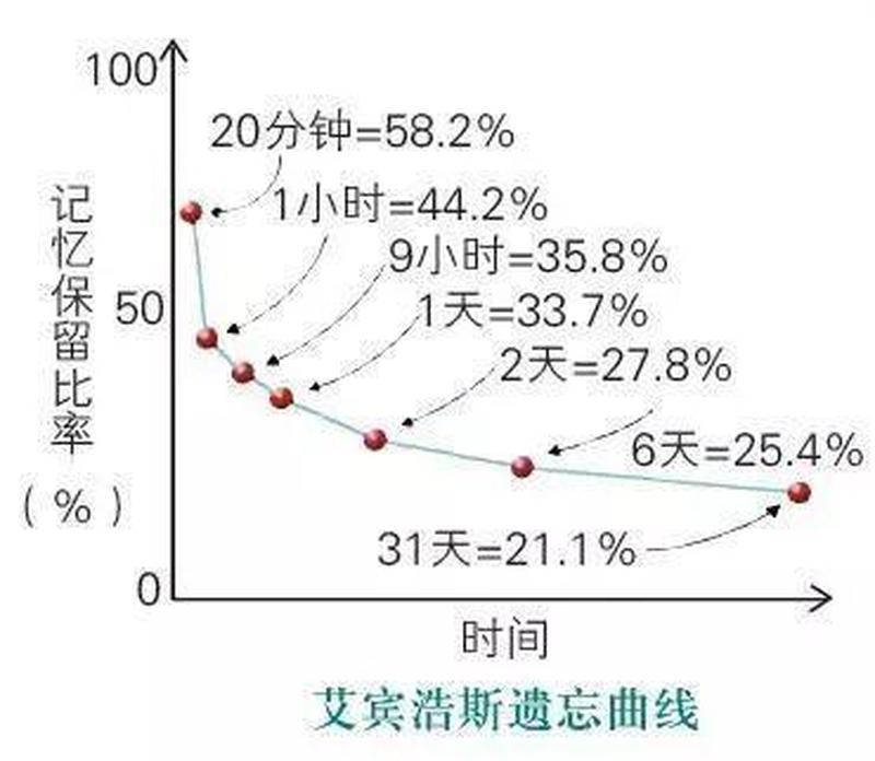 揭秘记忆黑洞：揭开遗忘曲线的奥秘-第1张图片-情感驿站