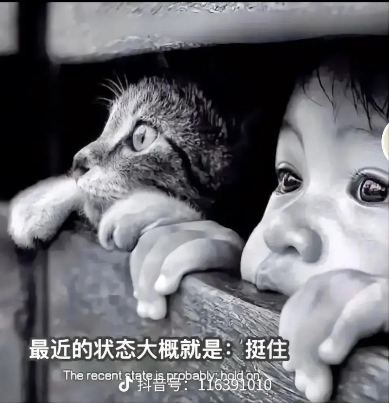 最近发展区理论认为,老师应该为学生布置(基于最近发展区的学习者支持策略)-第1张图片-情感驿站