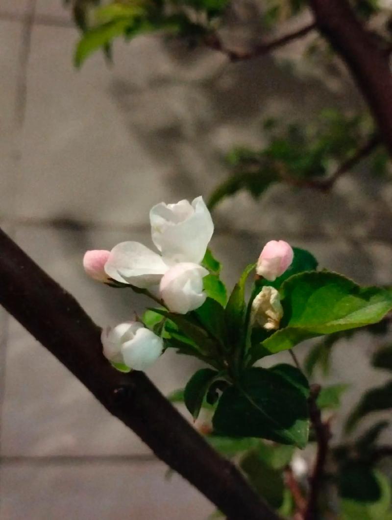 一个小时的时光，如白驹过隙般流转-第1张图片-情感驿站