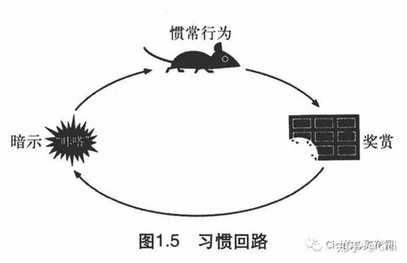 如何一支笔搞自己(一支笔的万般花样：从懒癌自救到文艺作妖)-第1张图片-情感驿站