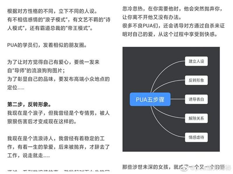 pua六个步骤阶段—揭秘PUA五大步骤，识破情感操纵陷阱-第1张图片-情感驿站