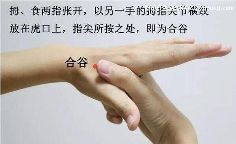 合谷穴位位置图—合谷穴位位置图鉴:解锁止痛、醒脑、健脾的穴位魔法-第1张图片-情感驿站 合谷穴位位置图—合谷穴位位置图鉴:解锁止痛、醒脑、健脾的穴位魔法-第1张图片-情感驿站