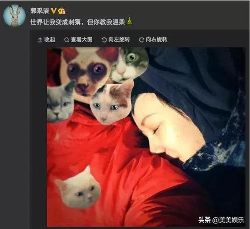 男生C男生—校园禁区:男生C的秘密恋情-第1张图片-情感驿站 男生C男生—校园禁区:男生C的秘密恋情-第1张图片-情感驿站