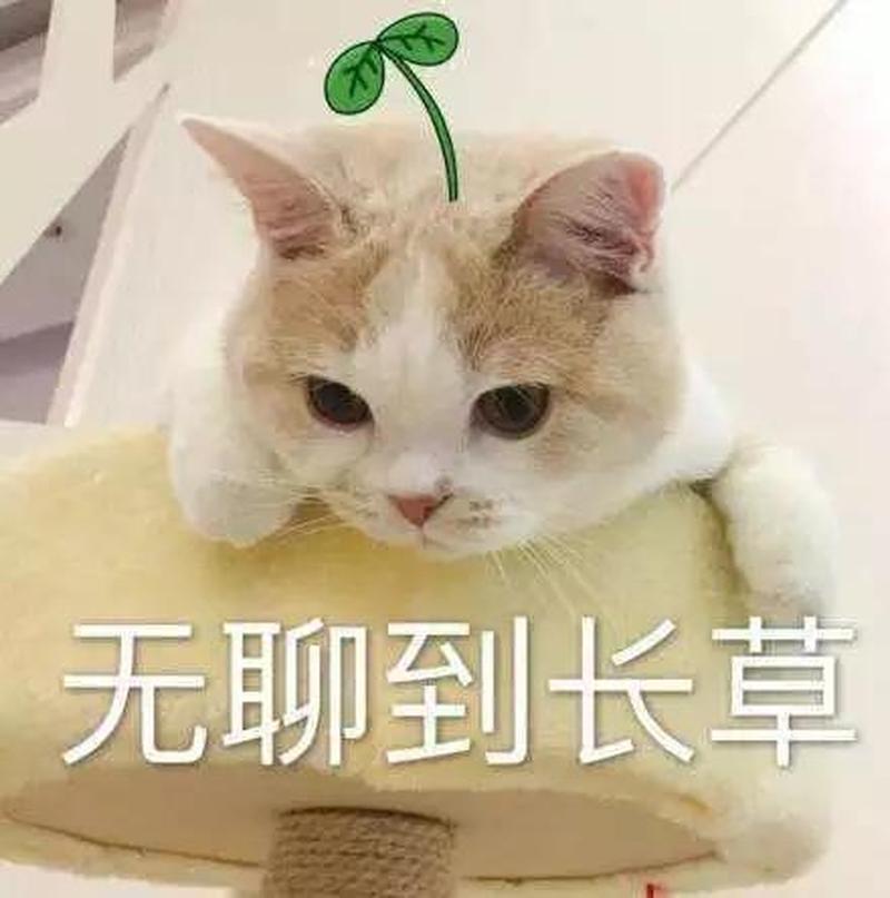 十指相抠好无聊，该干点啥解解闷-第1张图片-情感驿站