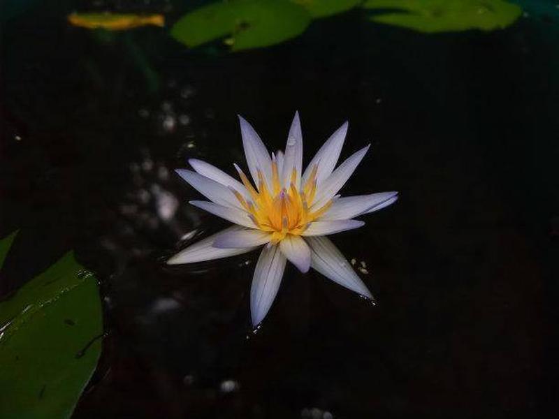 暧昧的表现_暗生涟漪，情意微妙-第1张图片-情感驿站