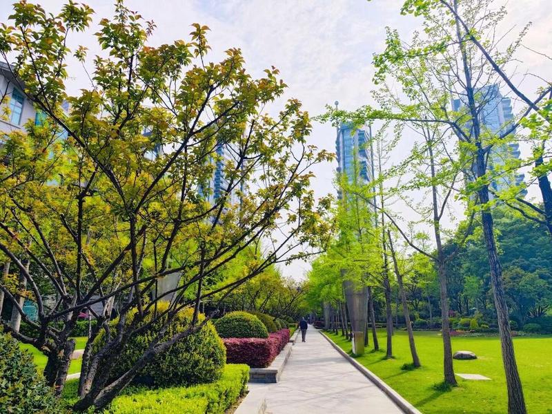 c点是哪个位置图片(揭秘C点：一片繁华都市的绿洲)-第1张图片-情感驿站