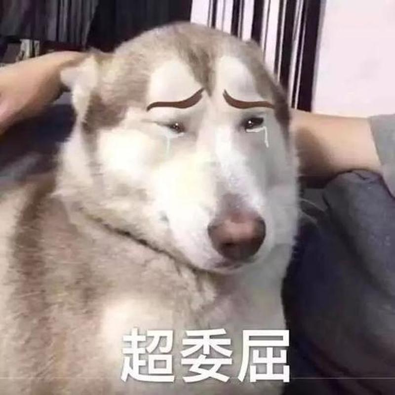 爱撒娇的男友(娇憨男友，撒娇功力满点)-第1张图片-情感驿站