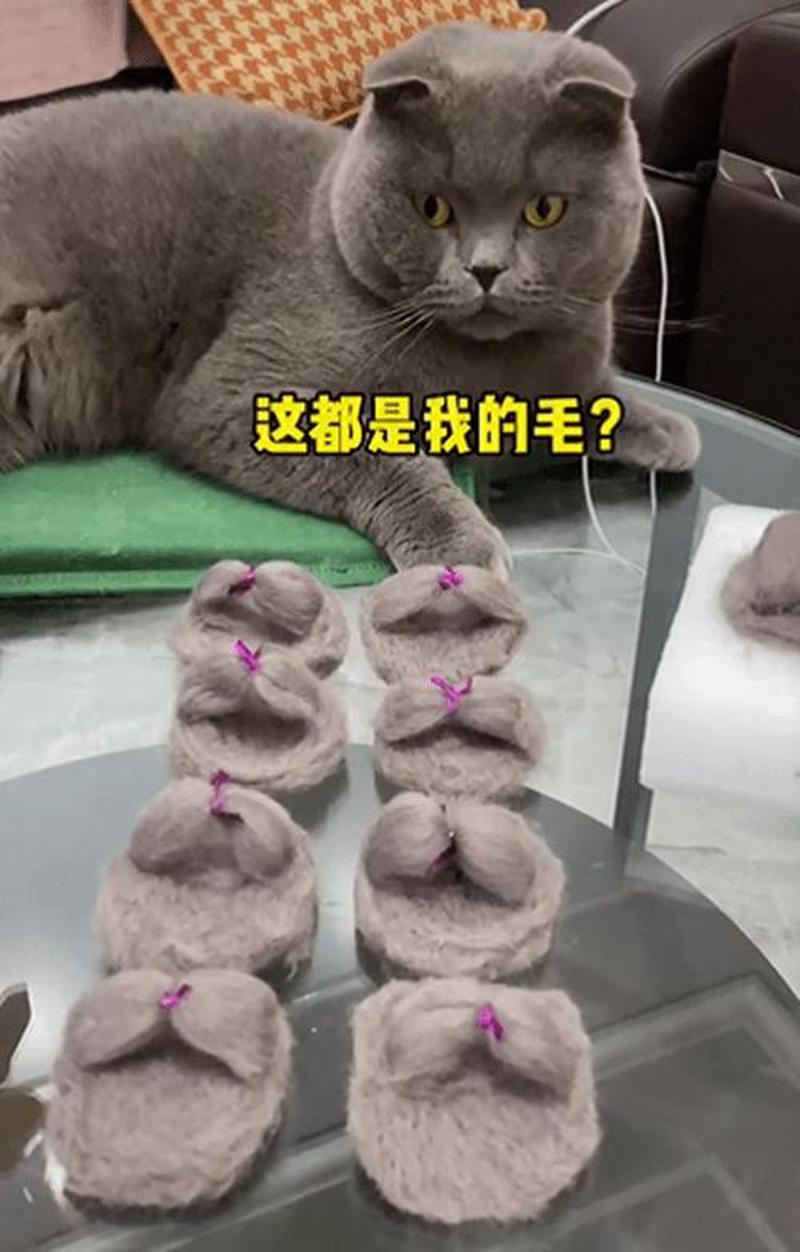 为啥毛多(毛发茂密难入二十一寸境界)-第1张图片-情感驿站