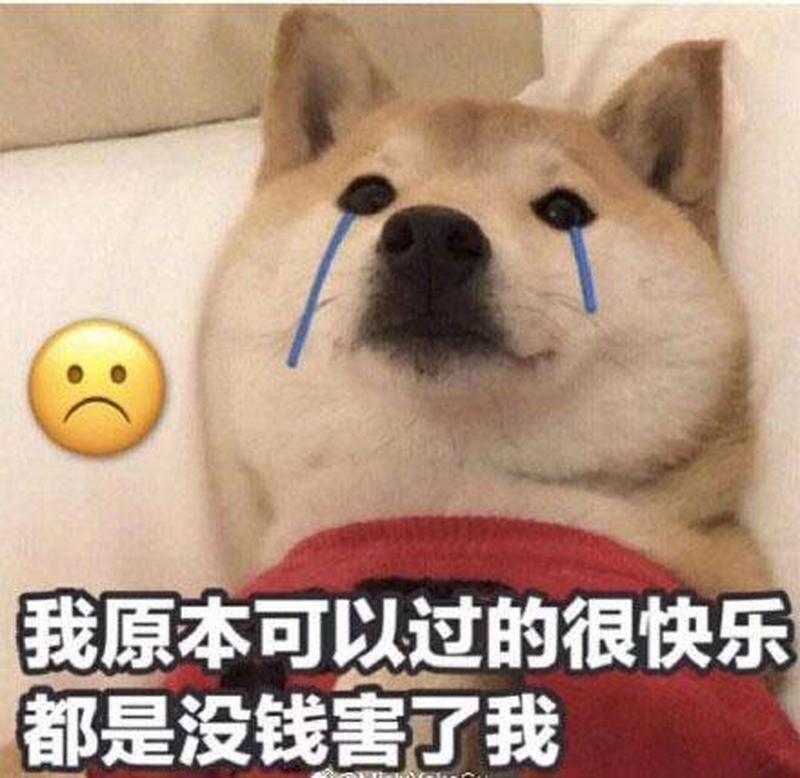 乏味的生活想要变一个富婆什么歌—乏味的流水线,生活的单调刻度-第1张图片-情感驿站 乏味的生活想要变一个富婆什么歌—乏味的流水线,生活的单调刻度-第1张图片-情感驿站