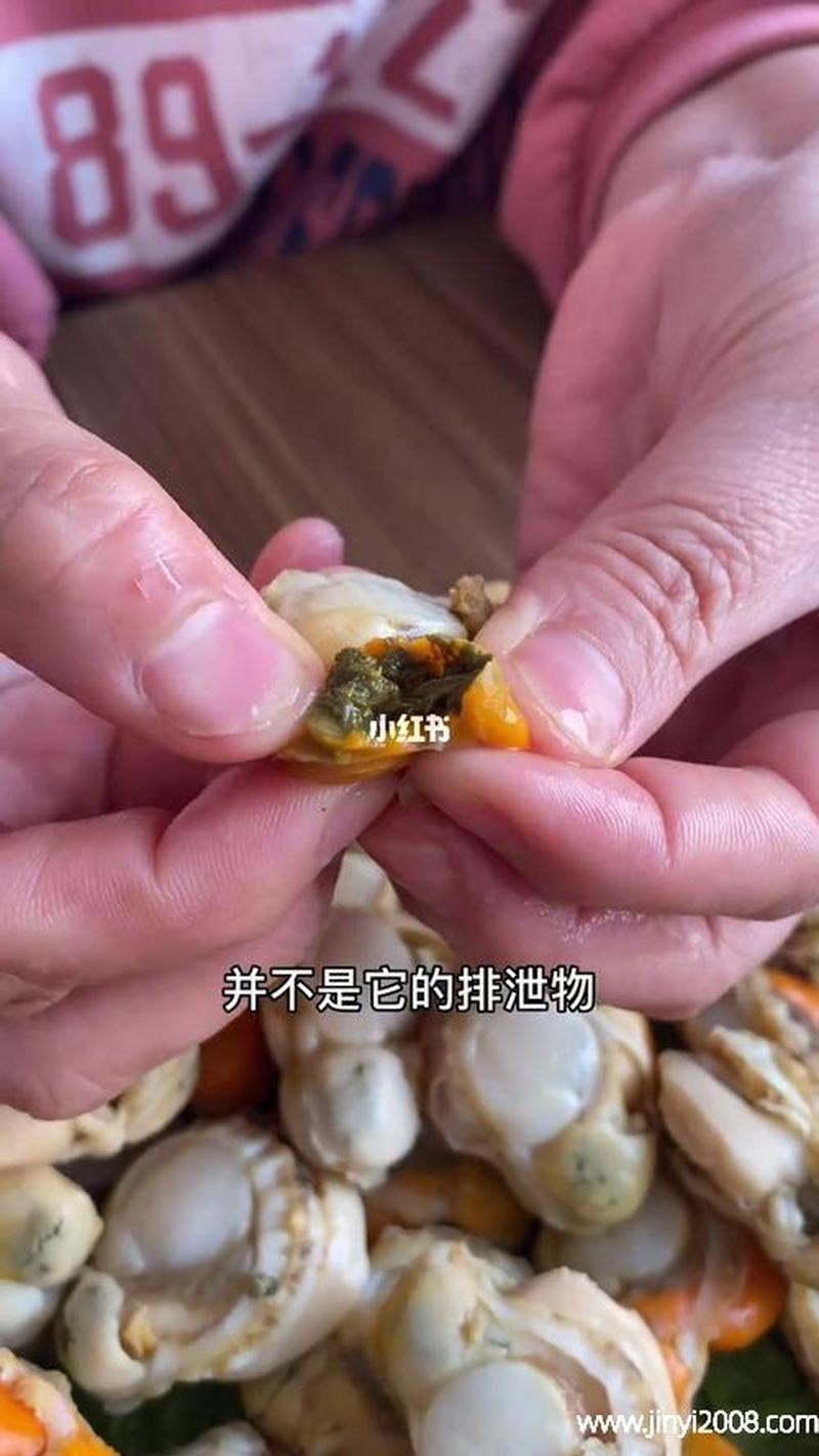 把腿张大点我就可以吃到扇贝了_把腿张大点，扇贝任你尝-第1张图片-情感驿站