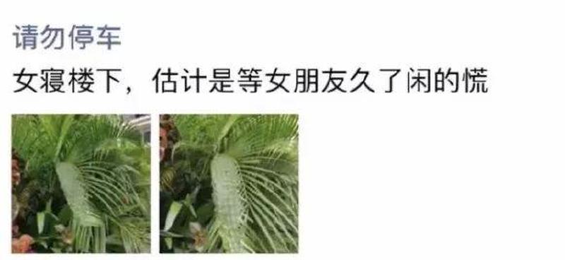 男生会喊喜欢的女生兄弟吗_当男生对喜欢的女生说兄弟时的潜台词-第1张图片-情感驿站