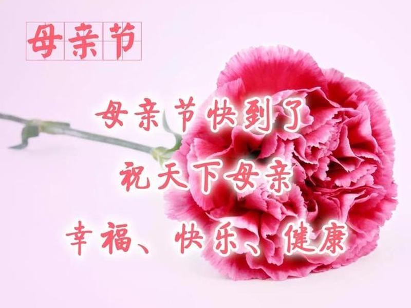 母爱真谛：她将生命化身馈赠-第1张图片-情感驿站