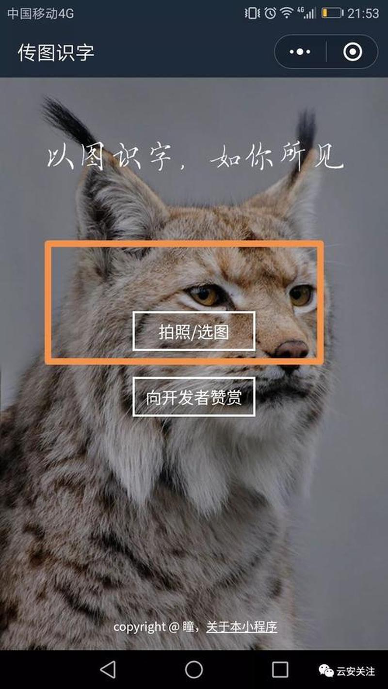 为什么往后面入会想要叫(新入会为何欲向后转)-第1张图片-情感驿站