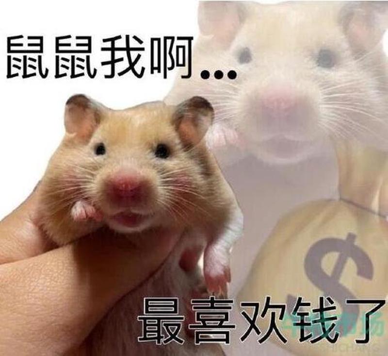 小东西该让我尝尝味道—微不足道的小事也请让我一尝滋味-第1张图片-情感驿站 小东西该让我尝尝味道—微不足道的小事也请让我一尝滋味-第1张图片-情感驿站