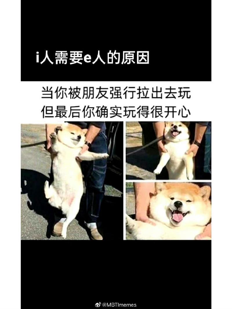 E型人格与I型人格的剖析-第1张图片-情感驿站