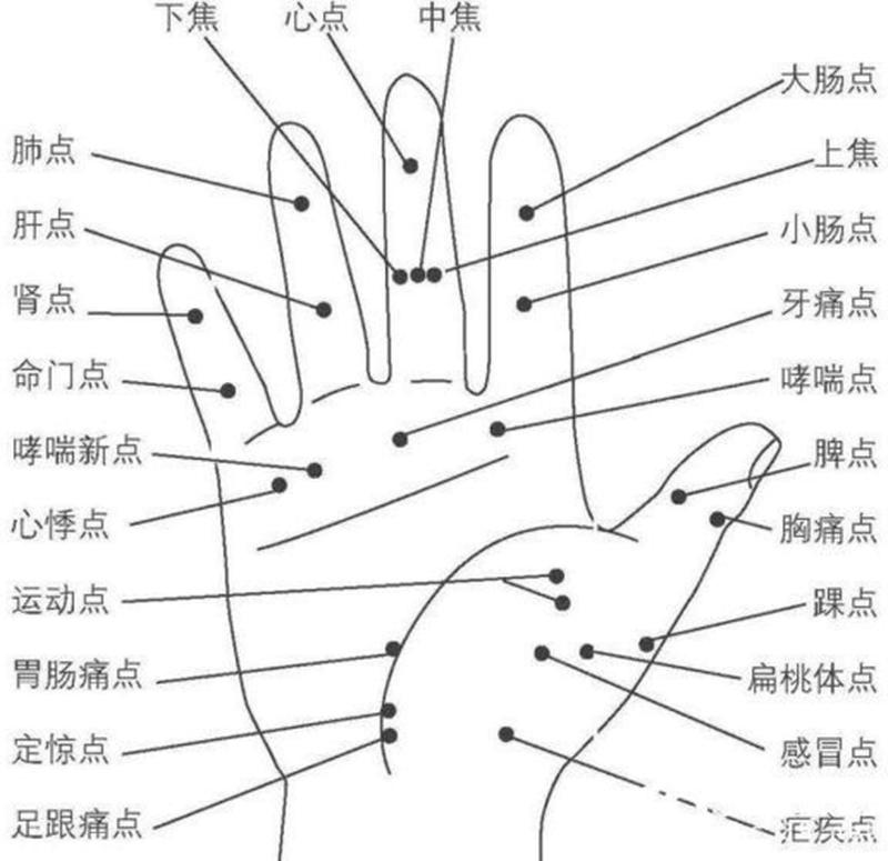 手跟下面插有区别嘛(手指探入与插入穴位的差异辨析)-第1张图片-情感驿站