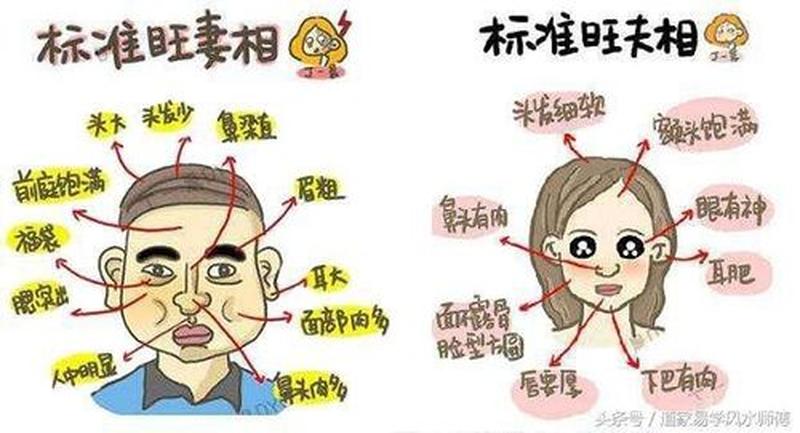 旺夫脸是什么脸型自测—旺夫脸型:破解面相奥秘,打造旺夫好运-第1张图片-情感驿站 旺夫脸是什么脸型自测—旺夫脸型:破解面相奥秘,打造旺夫好运-第1张图片-情感驿站