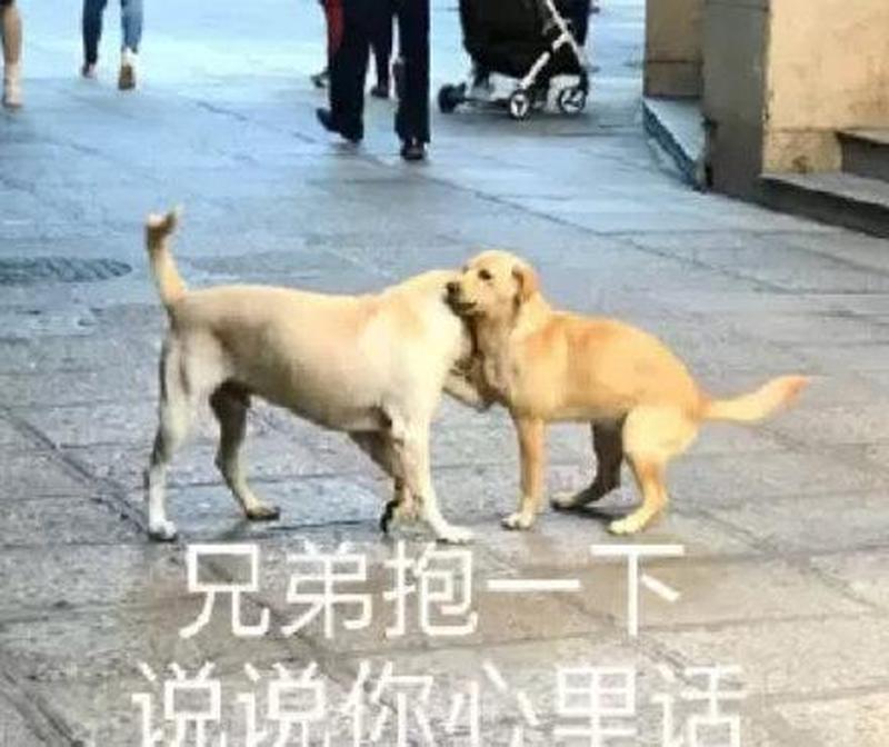 一下子一下(步步紧逼，寸土不让：往里怼到底)-第1张图片-情感驿站