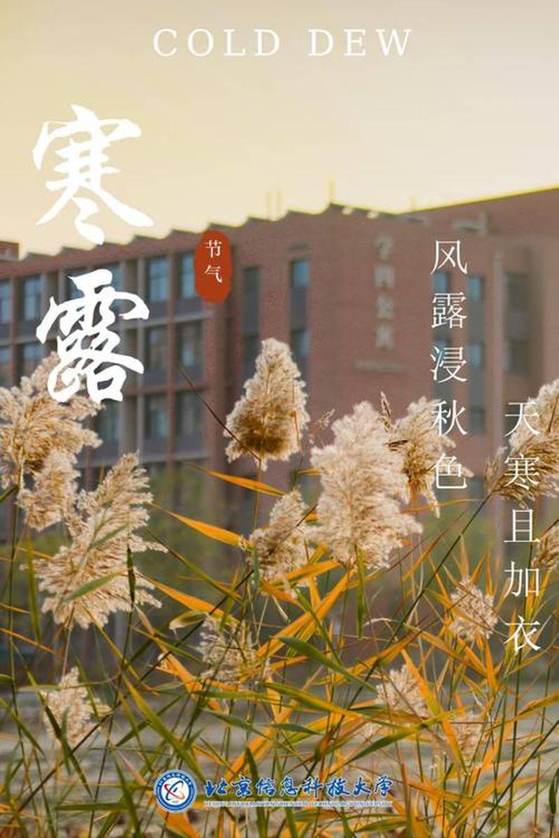 小寒节气:冬至余寒未尽,万物蓄势待发-第1张图片-情感驿站 小寒节气:冬至余寒未尽,万物蓄势待发-第1张图片-情感驿站