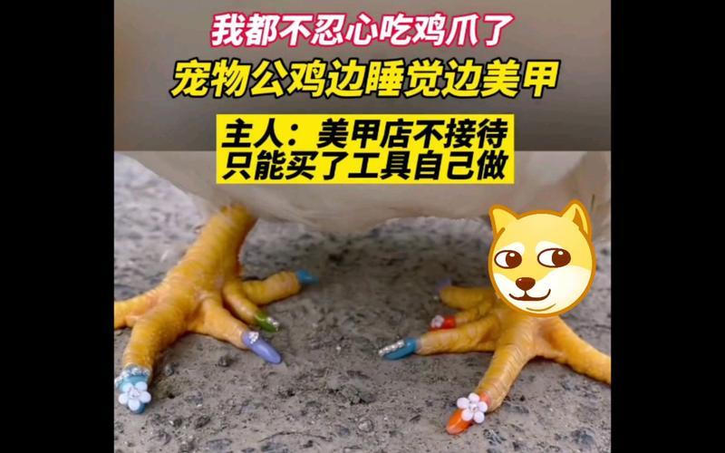 没有工具怎么自己做_泪眼涟涟：只手就能玩哭自己-第1张图片-情感驿站
