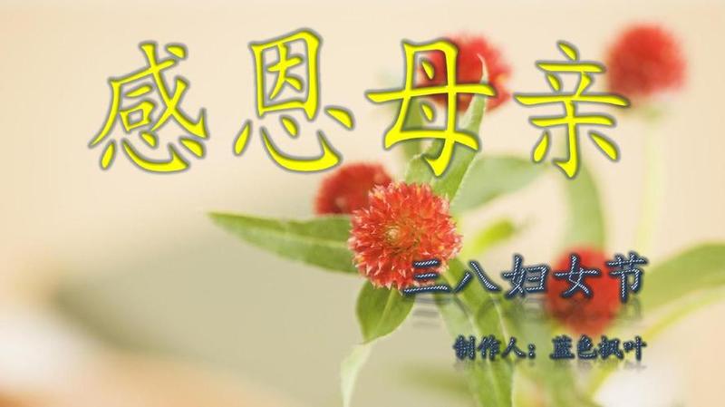 感恩妈妈，三八情深，爱意永恒-第1张图片-情感驿站