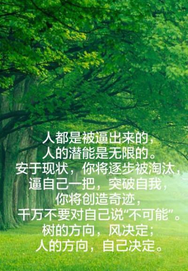 潜能的意思—潜能无限 绽放自我-第1张图片-情感驿站