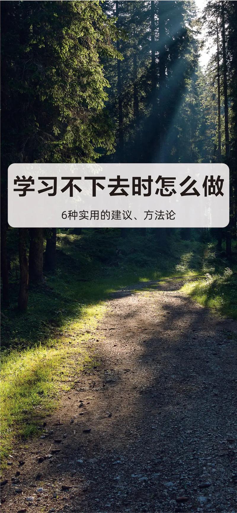 推迟满足感—培养自制力:延迟满足,解锁无限可能-第1张图片-情感驿站 推迟满足感—培养自制力:延迟满足,解锁无限可能-第1张图片-情感驿站