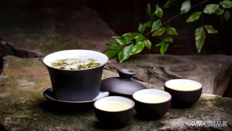 倒插莲花的玄机：沉浮之间的生存之道-第1张图片-情感驿站
