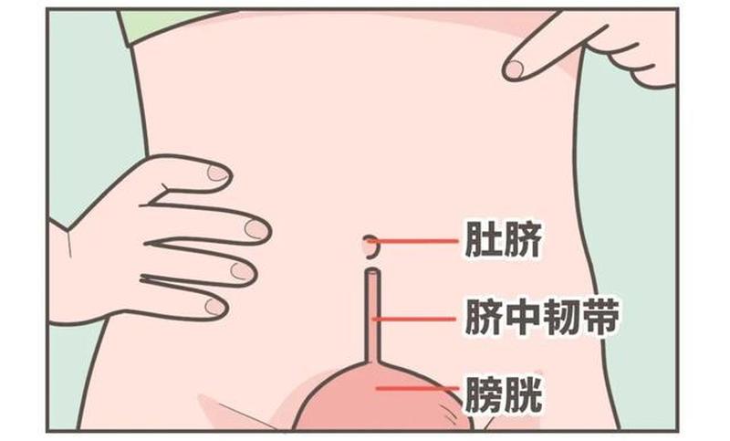 受的肚子真的会顶起来吗—击破谣言:受孕后孕妇的肚子一定是顶起来的?-第1张图片-情感驿站 受的肚子真的会顶起来吗—击破谣言:受孕后孕妇的肚子一定是顶起来的?-第1张图片-情感驿站