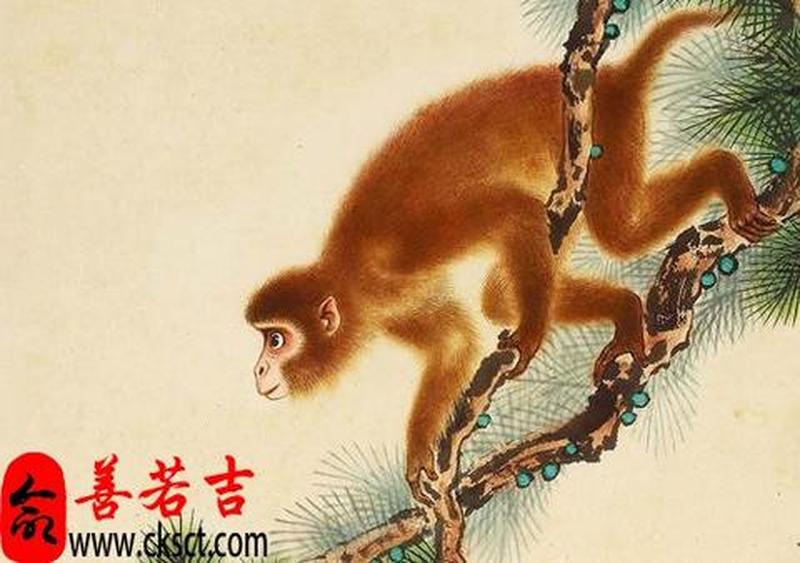 愤世疾俗,生肖现形-第1张图片-情感驿站 愤世疾俗,生肖现形-第1张图片-情感驿站