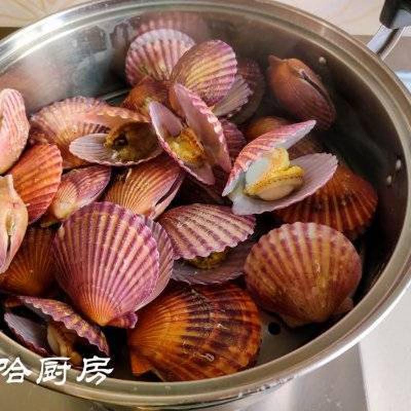 男朋友总是说要吃我的扇贝—宠溺男友变身贝壳怪：心爱扇贝欲被口吞-第1张图片-情感驿站