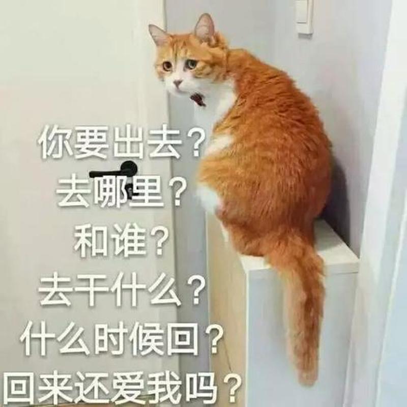 一按我帮你_一按我助你，轻松解决烦恼事-第1张图片-情感驿站