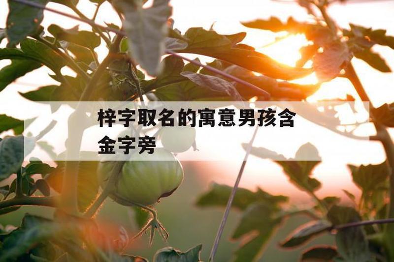 梓字取名的寓意—梓意盎然：寓意着茁壮成长，枝繁叶茂，繁荣滋长-第1张图片-情感驿站
