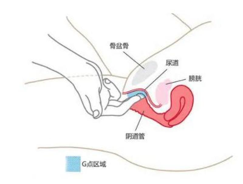 咋能把女友弄成小喷泉呢(女友变身喷泉秘诀：玩转水枪妙计)-第1张图片-情感驿站
