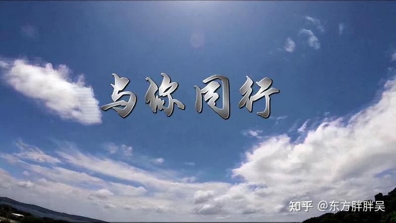 你有你的社会语录_与你同行的社会指引：我的社交语录精华-第1张图片-情感驿站