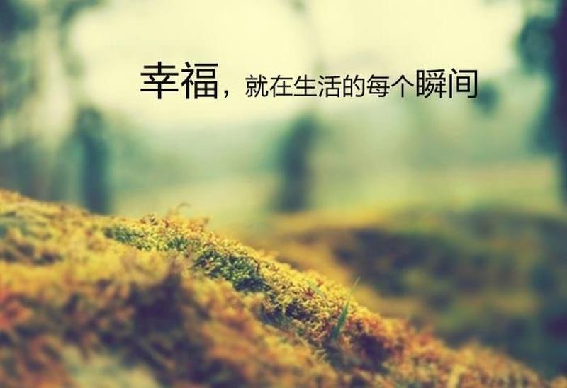 剩下的幸福_遗落时光中的幸福残片-第1张图片-情感驿站