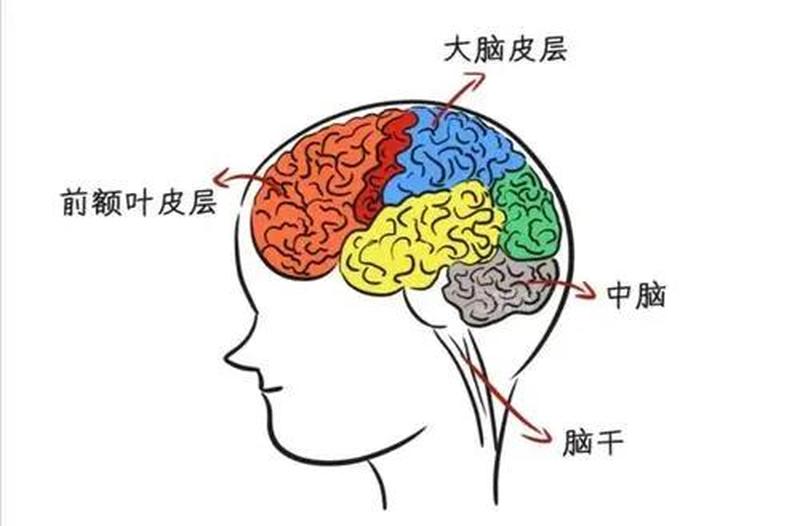 注意力小游戏课件_注意力大挑战：激燃你的大脑风暴-第1张图片-情感驿站