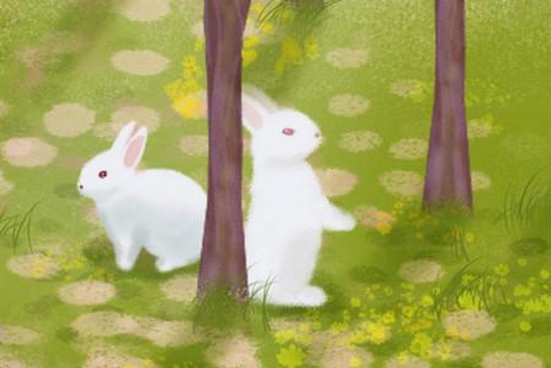 男朋友一直亲我的小兔子_亲亲小兔：在你怀里甜美融化-第1张图片-情感驿站