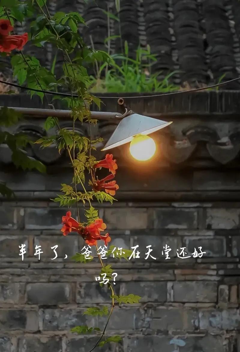 父亲，我有一个愿望，您能答应我吗？-第1张图片-情感驿站