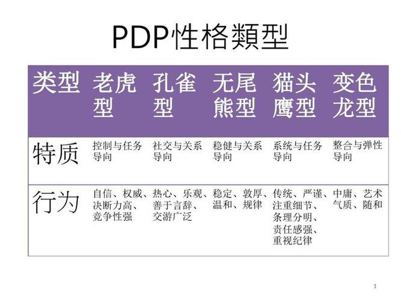 pdp是什么意思_剖析PDP：产品开发过程中不可或缺的指南-第1张图片-情感驿站