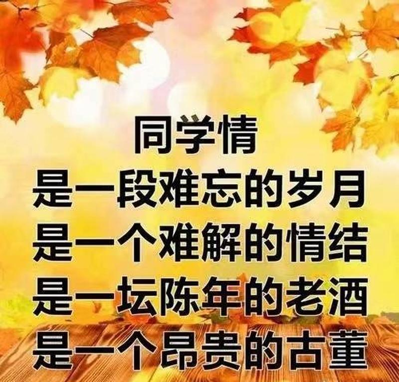 同学被孤立了怎么安慰_同窗冷眼:孤独的课桌旁-第1张图片-情感驿站 同学被孤立了怎么安慰_同窗冷眼:孤独的课桌旁-第1张图片-情感驿站