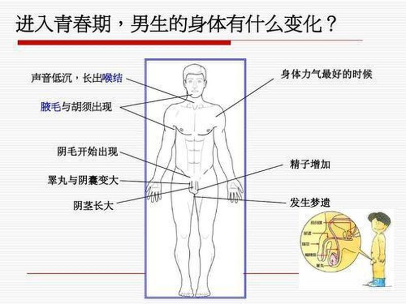 男生的小几几多大才正常_青春期男孩小几几尺寸:揭秘发育的平均值-第1张图片-情感驿站 男生的小几几多大才正常_青春期男孩小几几尺寸:揭秘发育的平均值-第1张图片-情感驿站