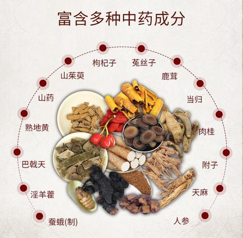 海狗鞭特补胶囊—海狗鞭特补胶囊：重塑雄风，唤醒 *** -第1张图片-情感驿站