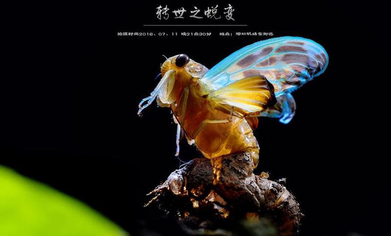 放在里面一整天(一整天浸润 蜕变新生”)-第1张图片-情感驿站